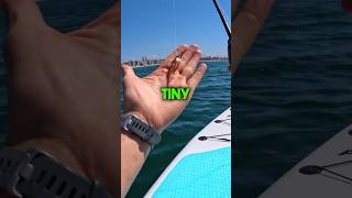 does a fake shrimp soft bait work well in saltwater areas?