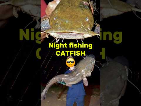 Should I use a bobber for catfishing in TX at night?