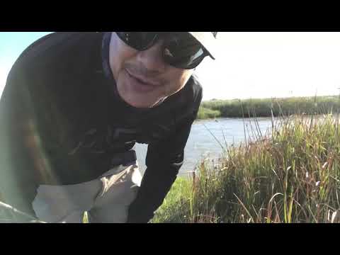 Is there any fishing in napa valley, ca?