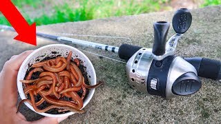 What are the best ways to rig live worms for bass fishing?