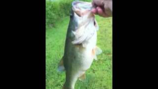 Question is Fishing lake tarpon in FL