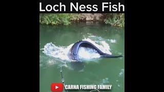 Question is Fishing near me