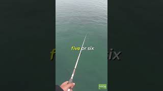 For fishing in Stanley Pier, HK, what setup should I use?