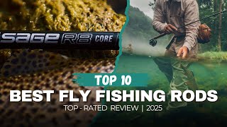 Give me an overview of the top 20 carp rigs