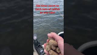 Question is give me tips for fishing for bass and catfish at Bartlett flat shoreline area at night