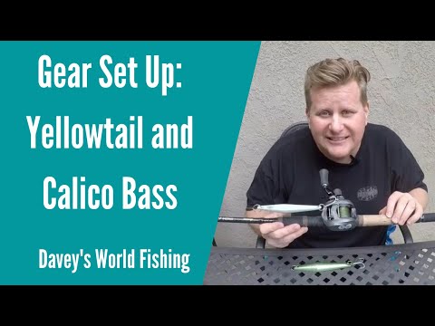 Is a 4 lb to 8 lb rod okay for yellow bass?