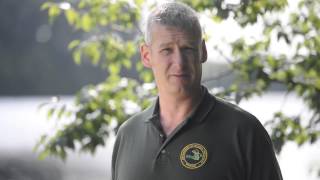 Help me pick the best gear for pan fish