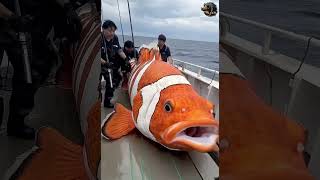 hi bà bn biết con cá nào mà to nhất thế giới ko