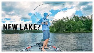 How can I catch more lake bass