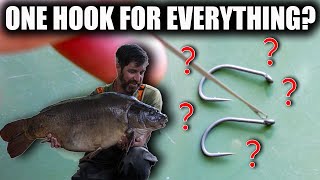 how many different carp rigs are there