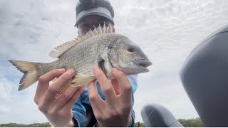 How to catch whiting in Lake Macquarie