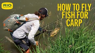 How to fish for carp with fly fishing?