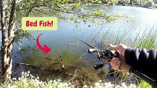 Question is how to fish Lake Temescal