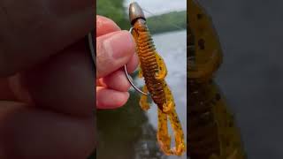 Question is I just got a flyrod setup, where should I fish this time of year in the pittsburgh area