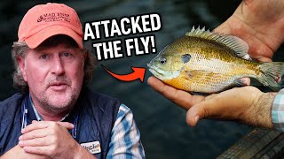 I want to give fly fishing a shot as a brand new hobby in the Western Cape.