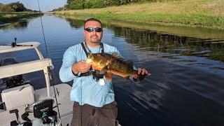 Is right now a good time to fish in Delray Beach, Florida?