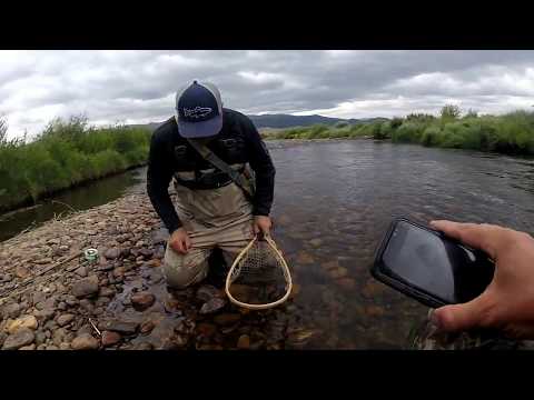 What is the fishing forecast at Mt. Elbert Forebay for Thursday and Friday this week?