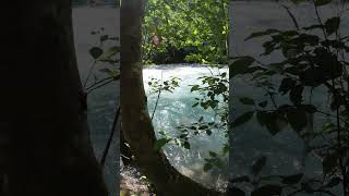 is ashlu creek good for fly fishing in Squamish?