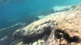 Is it allowed to fish in Riserva Naturale Orientata Monte Cofano?