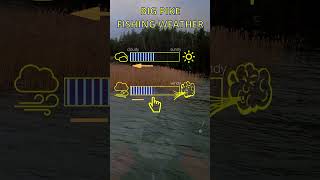 Is this good fishing weather for pike?