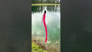 What should I throw?