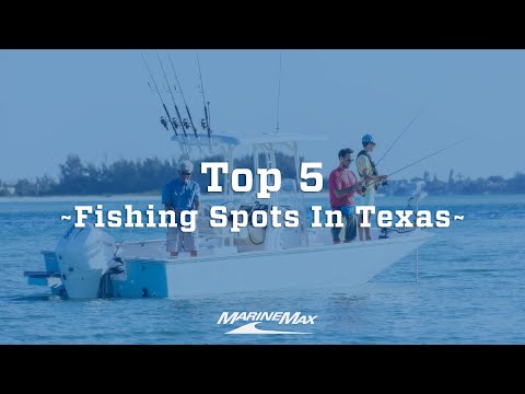 What is the best place to fish in Austin, Texas?