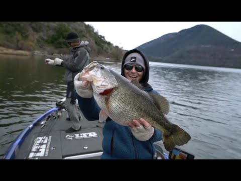 Where can you catch the largest bass in California?