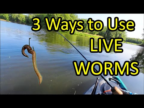 The vegetation is growing on the bottom and I'm fishing from shore. What's the best way to work this with a worm?