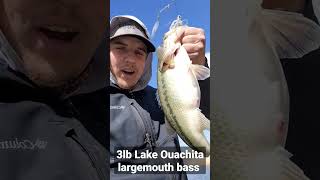 Lake ouachita winter bass