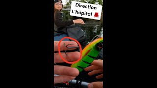 leurre imitation vairon réaliste