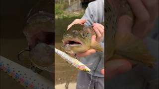 Lightning trout glide bait