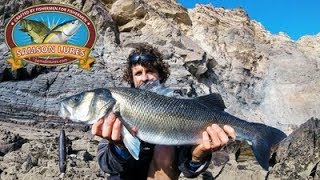 What are some amazing spots to fish for bass and zander in Portugal?