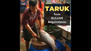 What are the best freshwater bass fishing techniques for Tacurong City, Philippines?