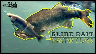 Must have glide baits