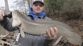 What is the best live bait for bowfin?
