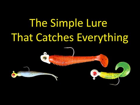 What size worm hook is best for a 2 inch Mister Twister curly tail grub?