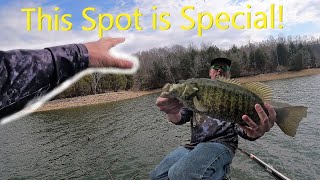 Where are smallmouth bass typically located on Tim's Ford Lake?