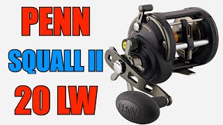 Question is PENN Squall® II Level Wind Combo, 9' Heavy Fishing Rod, 20 Size Reel