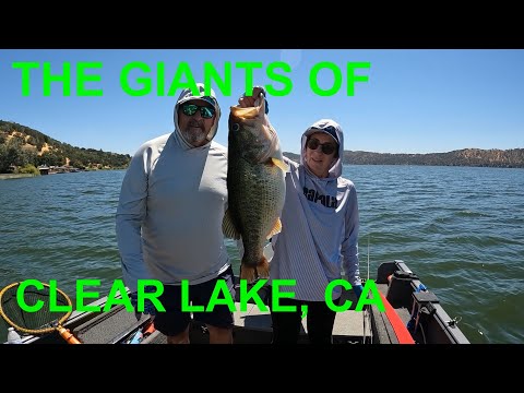 What are the best places to catch the largest bass in California?
