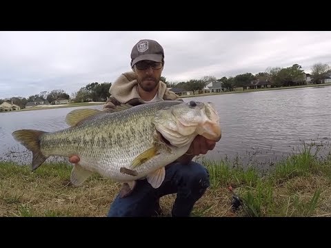 How rare is it to catch a 16-pound bass?