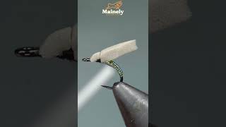 What is a Dry Fly 31?