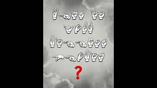 Read the pdf file and tell me the laws about fishing