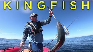 Show fishing chart with recommendations around Kawau Island for the next week. Show tides and fishing times