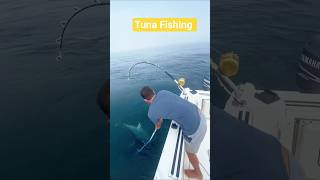 Show me bluefin tuna fishing map