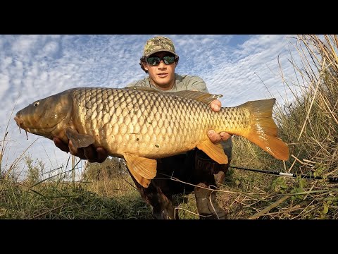 What is the best place to catch carp in the Bay Area?