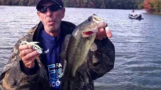 What are the best lures for fishing the Appoquinimink River near Odessa, DE?