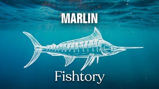 How do you catch a marlin?