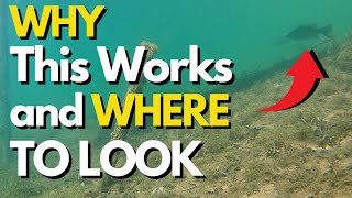 What should a bass angler know about catching 鲈鱼 (bass) in late summer?