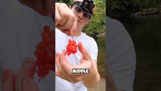 Tutorial: How to Catch Salmon