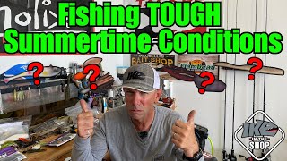 Where should I look for bass on a shallow, slow-to-no-flow bayou-fed Cypress Lake during the dog days of summer?